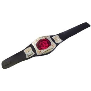 Mattel P9605 Wwe Electrovision Championship Spinner Mattel Kids Toy Belt Wwe Core Shop Online For Toys In New Zealand