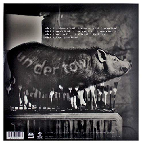 Tool Undertow Album Artwork