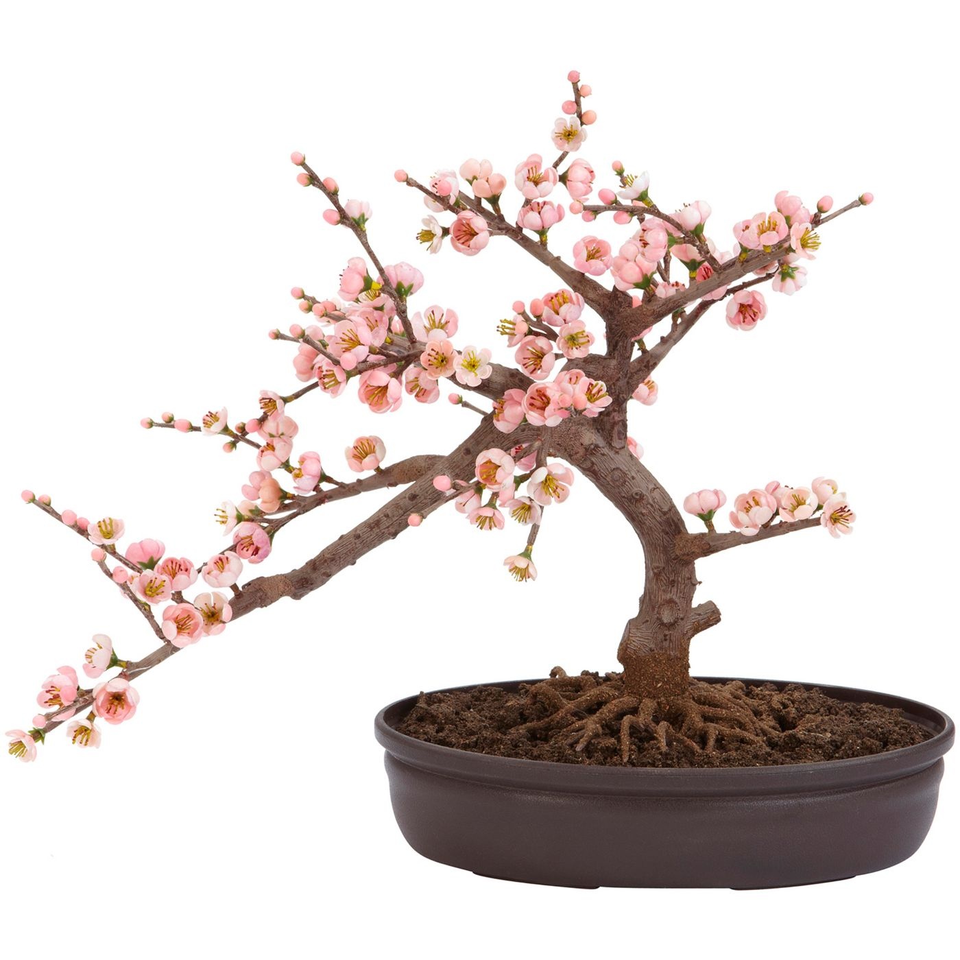 Artificial Cherry Blossom Bonsai Silk Tree By Nearly Natural Shop Online For Homeware In New Zealand