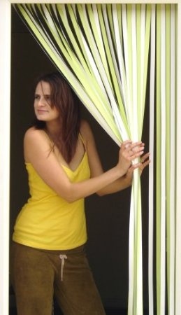 Slat Type Door Curtain Bug Blind Fly Blind Strip Blind Lime Green