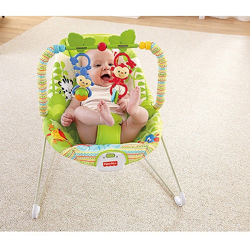 fisher price bouncer nz
