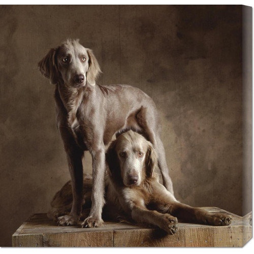 Bentley Global Arts Longhaired Weimaraners Detail By Yann