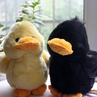 black duck stuffed animal