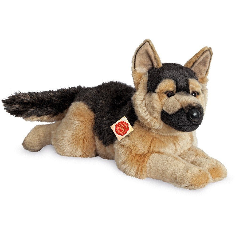 teddy german shepherd