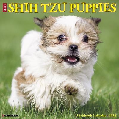 Just Shih Tzu Puppies 2018 Wall Calendar Dog Breed Calendar