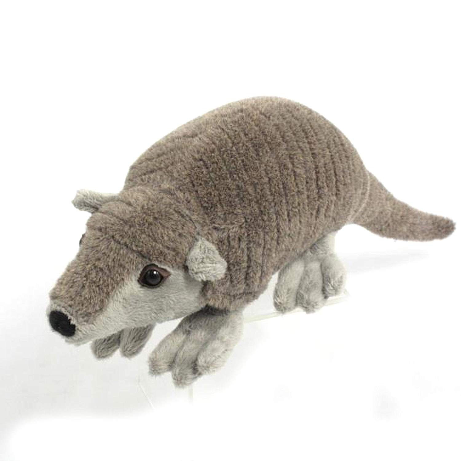 armadillo teddy