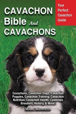 cavachon nz